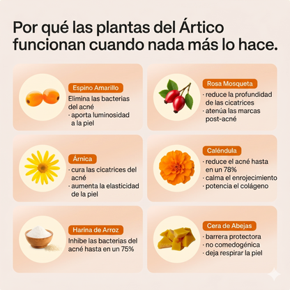 Crema Facial Purificante